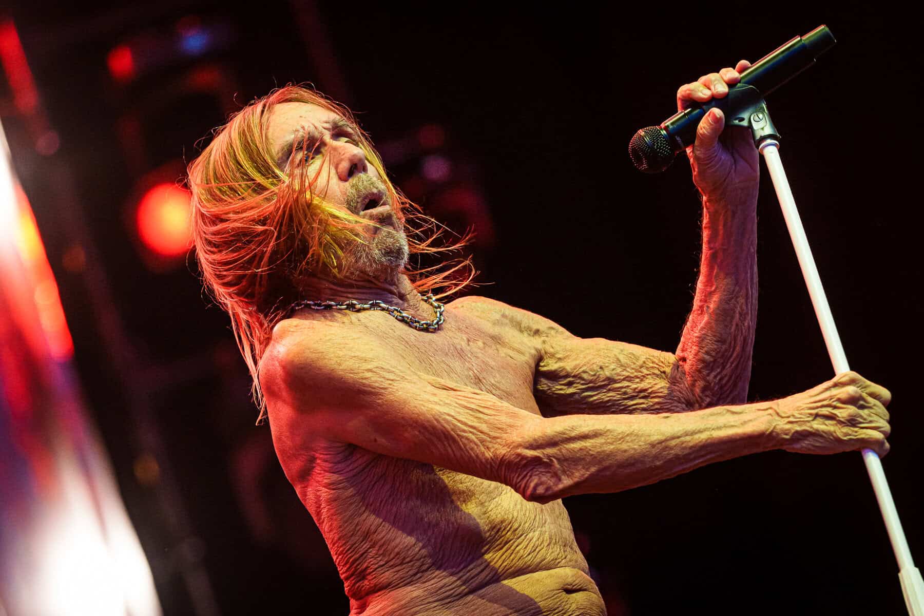 Iggy-Pop-Down-The-Rabbit-Hole-2025