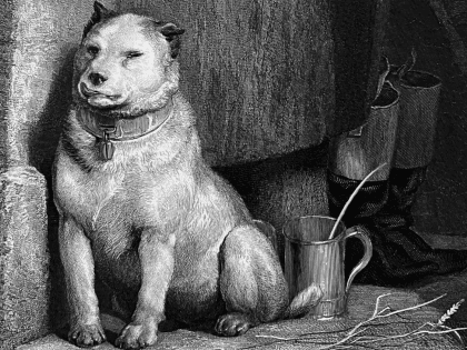Win tickets voor Pavlov’s Dog in De Roma
