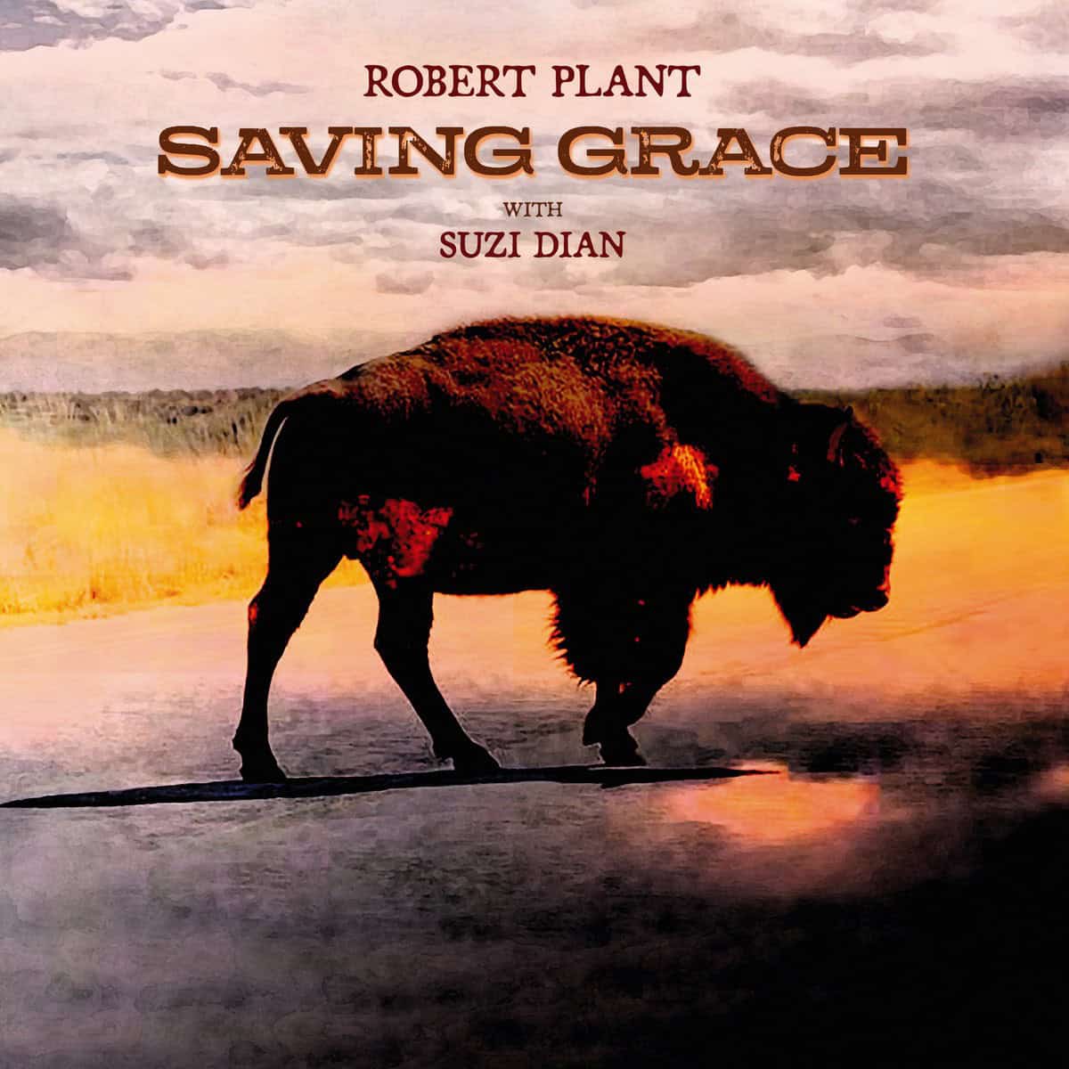 Robert-Plant-Saving-Grace